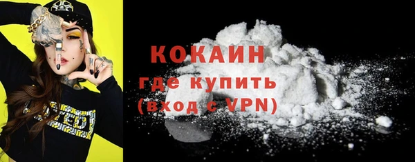 ГАЛЛЮЦИНОГЕННЫЕ ГРИБЫ Галич