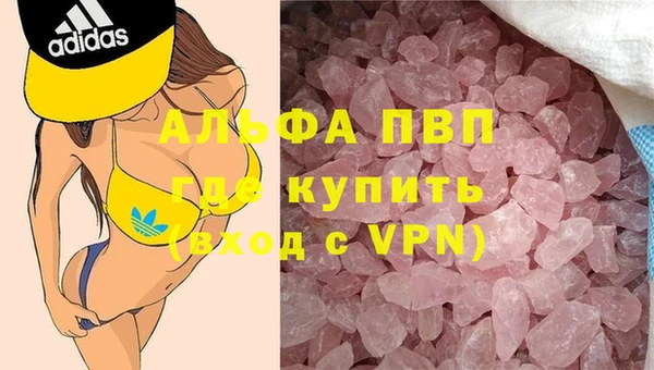 мяу мяу мука Гвардейск