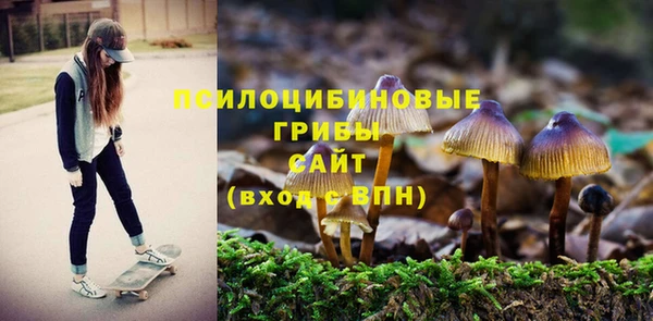СК Нягань