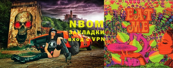 apvp Няндома