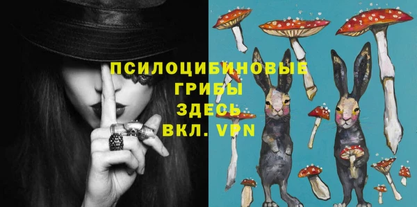индика Хадыженск