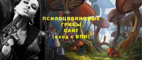 мяу мяу мука Гвардейск
